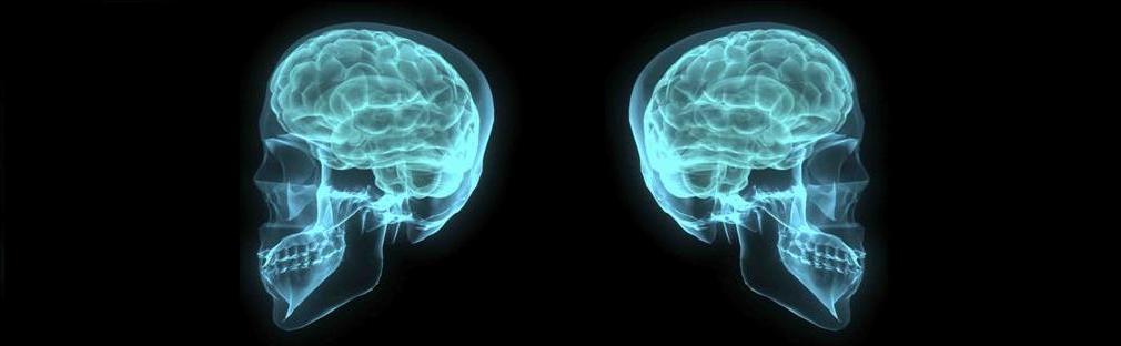 irehasa,rehabilitacion aranjuez, fisioterapia aranjuez,ginecologia aranjuez,centro medico aranjuez, instituto aranjuez, instituto medico aranjuez,ginecologia,traumatologia,psicologia,fisioterapia,alergologia,pediatria,osteopatiapsicologia